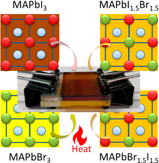 Bidirectional Halide Ion Exchange in Paired Lead Halide Perovskite Films with Thermal Activation